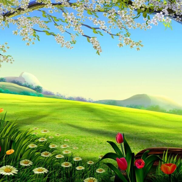 8298d86b-5012-438f-b68c-54c60050bea6